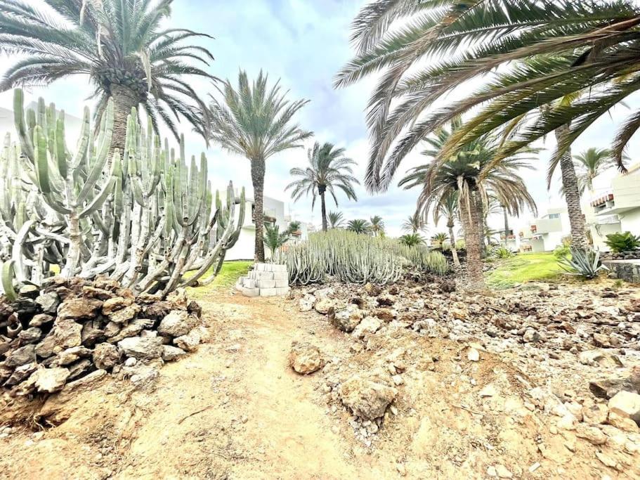 Apartamento Con Piscina Sur De Tenerife Costa Del Silencio Extérieur photo